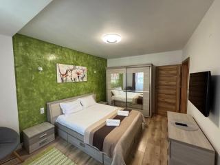 Katy Boulevard Apartman - Satu Mare - 9
