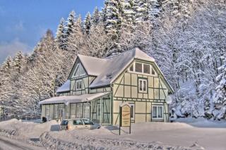 Deluxe Holiday Home in Brilon-Wald near Ski Area - Brilon - 4
