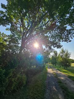 Zakatek Mala-apartamenty nad jeziorem - Kołczewo - 6