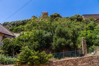 Appartamenti Remota - Castiglione della Pescaia - 9
