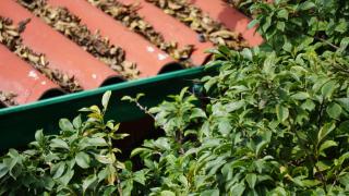 Ayenda Mountain Hostels Manizales - 3