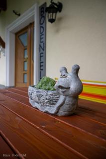 Haus Bodenfeld - Sankt Johann im Pongau - 3