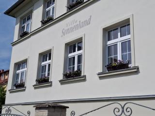 Villa Patriot Apartmány - Marienbad - 1