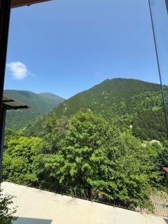 Zufer Pansiyon - Uzungöl - 9