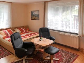 Holiday homes for two people, with a swimming pool, in the Ore Mountains - Pockau - 9