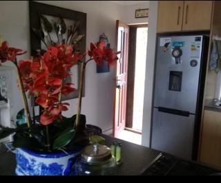 Luxury Apartment self catering 70 m from the beach - Jeffreysbaai - 4
