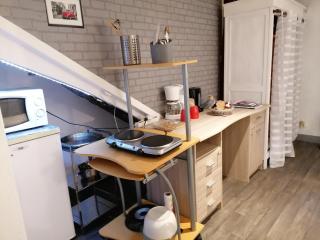 Guest house dans jardin exotique, quartier calme, jacuzzi, parking gratuit - Morlaix - 4
