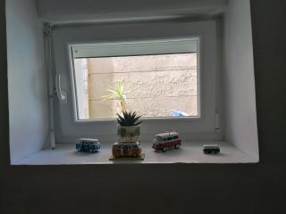 Guest house dans jardin exotique, quartier calme, jacuzzi, parking gratuit - Morlaix - 6
