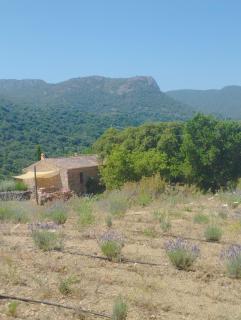 holiday home su Niberalzu - Monti - 3