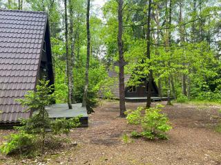 Domki w Wildze - Skurcza - 8