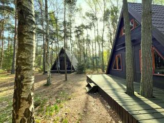 Domki w Wildze - Skurcza - 0