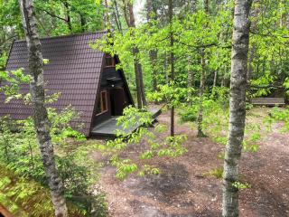 Domki w Wildze - Skurcza - 4