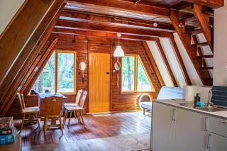 Domki w Wildze - Skurcza - 7
