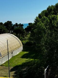 Appartamento - Durazzo - 7