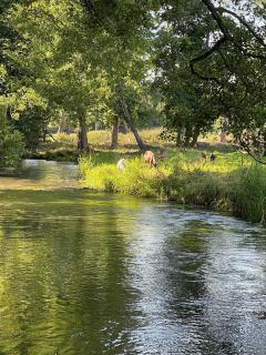 LA SELLERIE Charmante maison de campagne au milieu d'une ile - 2