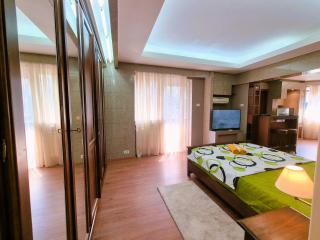 Central Urban Deluxe Loft - Bucharest - 3