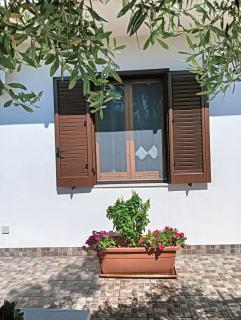 Di fronte la spiaggia - Marsala - 1