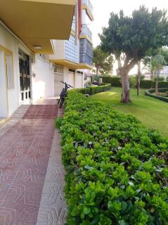 Apartamento Benidorm- Piscina y parking - Benidorm - 3
