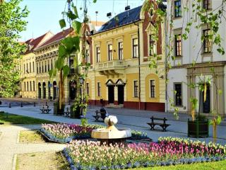 Fortuna Apartmanok Eger - Eger - 5