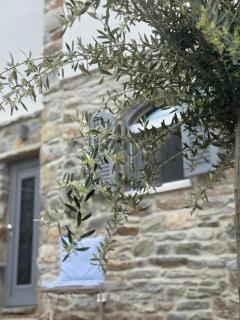 Servena's Damarionas Village - - 0