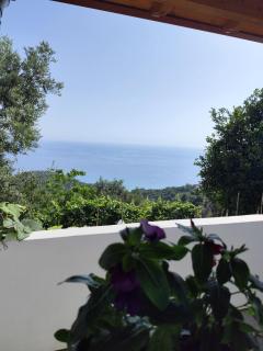 Seaside Soul Studio-Cozy Escape - Lukovë - 4