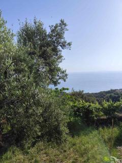 Seaside Soul Studio-Cozy Escape - Lukovë - 3