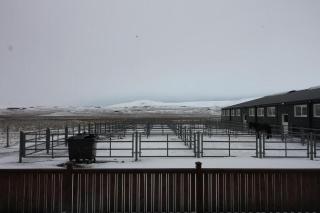 Sindrastaðir - Lækjamót - 2