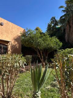 Villa FEKHARA - 5