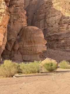 وادي رم إبوفيصل - Wadi Rum - 9