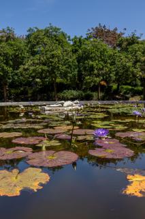 Las Naciones Vistas Espectaculares - 9
