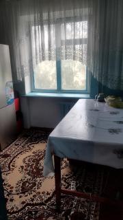 Уютная квартира - Karakol - 2