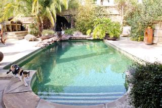 Lujosa villa con piscina privada y precioso jardín - Chayofa - 9