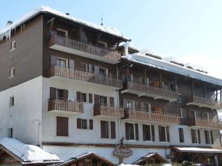 Appartement confortable 2 pièces au cœur de La Clusaz, proche des pistes et des commerces - FR-1-304-7 - 9