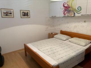 3 bedroom Apartment on the sea with garden - Ražanj - 8