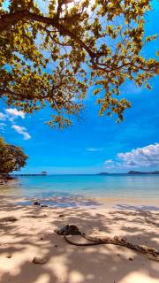 Dang-Dang Na Bungalows - 5