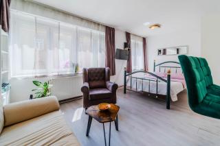 Charming Downtown Studio - Happy Rentals - 8