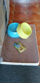 Frodo Haus - Tazacorte - 6