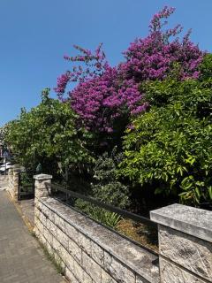 Mandarin Garden House - Orebić (Sabbioncello) - 6