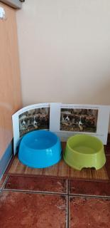 Frodo Haus - Tazacorte - 1