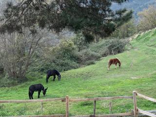 Cascina Chirè - Berioli - 6