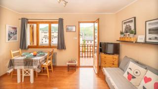 Apartamentos Formigal - Formigal - 0