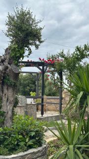 Greek Mansion - Nea Moudania - 7
