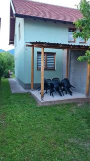Ilma house - Sarajevo - 3