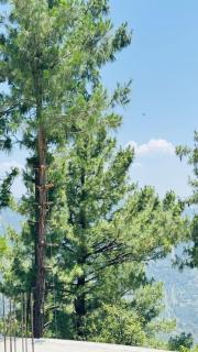 Faimly cottages - Nathia Gali - 6