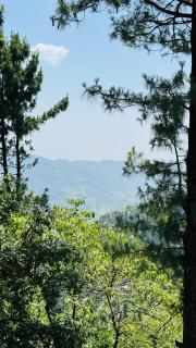 Faimly cottages - Nathia Gali - 5