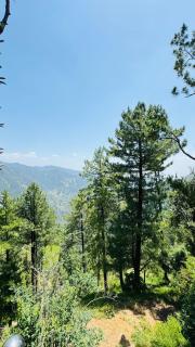 Faimly cottages - Nathia Gali - 1