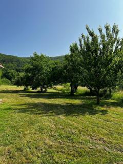 The grandfather's estate - Brušane - 1
