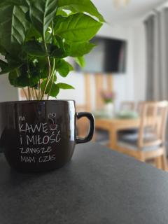 Family HOUSE - 7