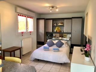 Studio aux portes de Rodez - Luc - 8