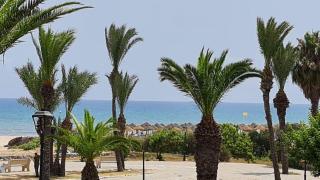 Dar Narcisse - Nabeul - 7